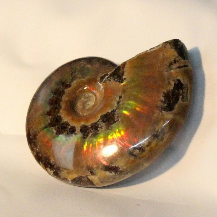 【虹に輝く一級品】アンモナイト 化石 虹 レインボー Ammonite アンモライト アンモナイト 宝石 原石 置物 鉱石 古生…