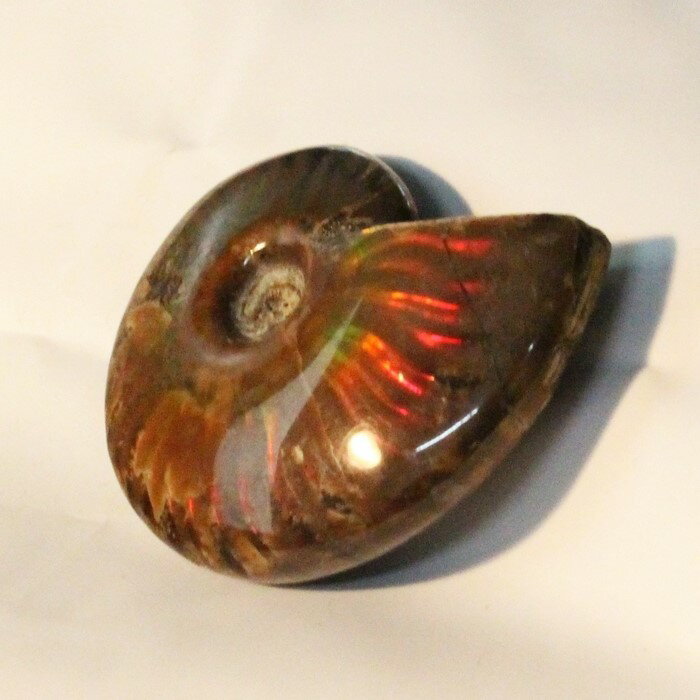 【マダガスカル産最高品質】アンモナイト 化石 虹 レインボー Ammonite アンモライト アンモナイト 宝石 原石 置物 …