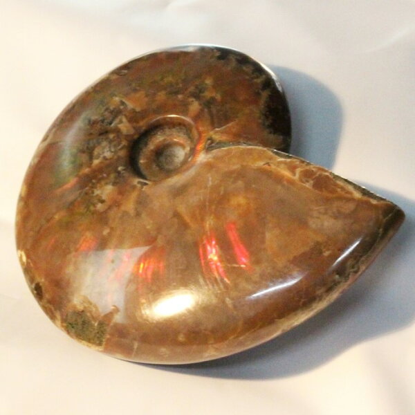 パワーストーン 天然石 LuLu Houseの【厳選品質マダガスカル産】アンモナイト 化石 虹 アンモナイト Ammonite レインボー アンモライト 宝石 原石 置物 鉱石 古生物 標本 生きた化石 fossil 石 アンモナイト化石 天然石 化石 人気 おすすめ パワーストーン 一点物 アンモナイト|詳細画像
