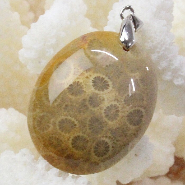 【厳選品質 一点物】サンゴ 化石 ペンダント 化石 サンゴ 珊瑚 コーラル フォシルコーラル ペンダントトップ ネックレス ぺんだんと Pendant サンゴ化石 ペンダント メンズ レディース パワーストーン 人気 おすすめ 天然石 海外直輸入価格 サンゴ