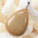 【天然石 ペンダントトップ 大粒】珊瑚 化石 ペンダント 化石 サンゴ 珊瑚 フォッシルコーラル フォシルコーラル ネックレス ペンダントトップ ぺんだんと P...