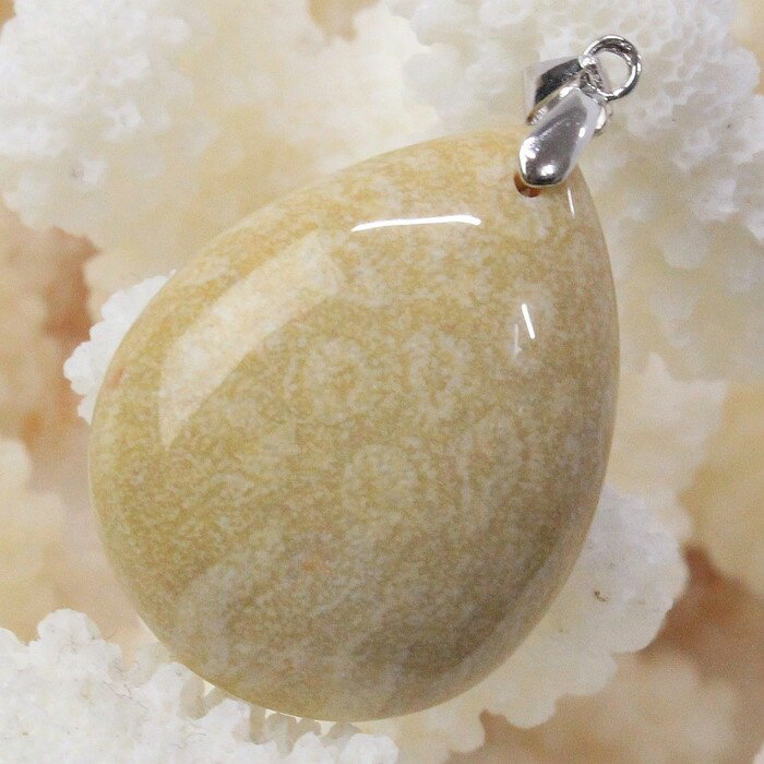 ŷ ڥȥȥå γۻ  ڥ   եå륳 ե륳  ڥȥȥå ͥå쥹 Pendant...