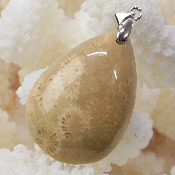 珊瑚 化石 ペンダント 化石 サンゴ コーラル フォシルコーラル 珊瑚 ネックレス ペンダントトップ Pendant 珊瑚化石 ペンダント 天然石 ネックレス ...