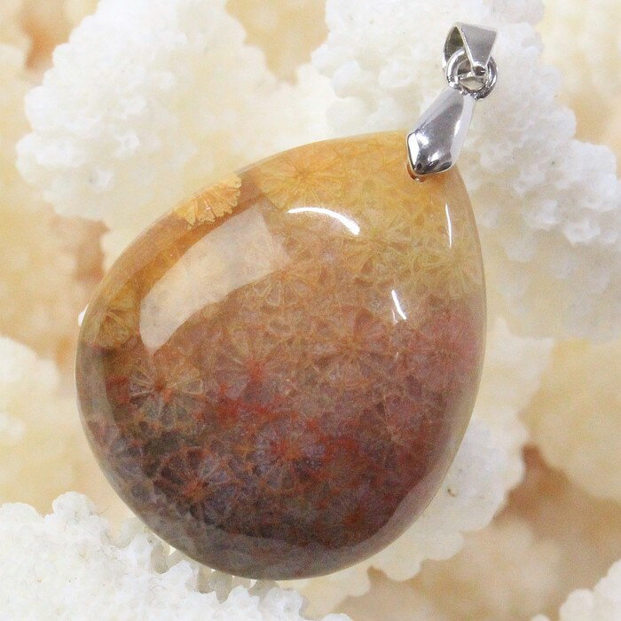 【限定 一点物】珊瑚 化石 ペンダント 化石 サンゴ 珊瑚 フォッシルコーラル フォシルコーラル ネックレス ペンダントトップ ぺんだんと Pendant 珊瑚...