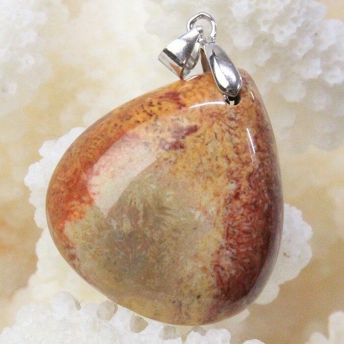 【厳選品質 一点物】サンゴ 化石 ペンダント 化石 サンゴ 珊瑚 コーラル フォシルコーラル ペンダント..