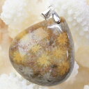 【一点物 現物】珊瑚 化石 ペンダント 化石 サンゴ コーラル フォシルコーラル 珊瑚 ネックレス ペンダントトップ Pendant 珊瑚化石 ペンダント パワ...
