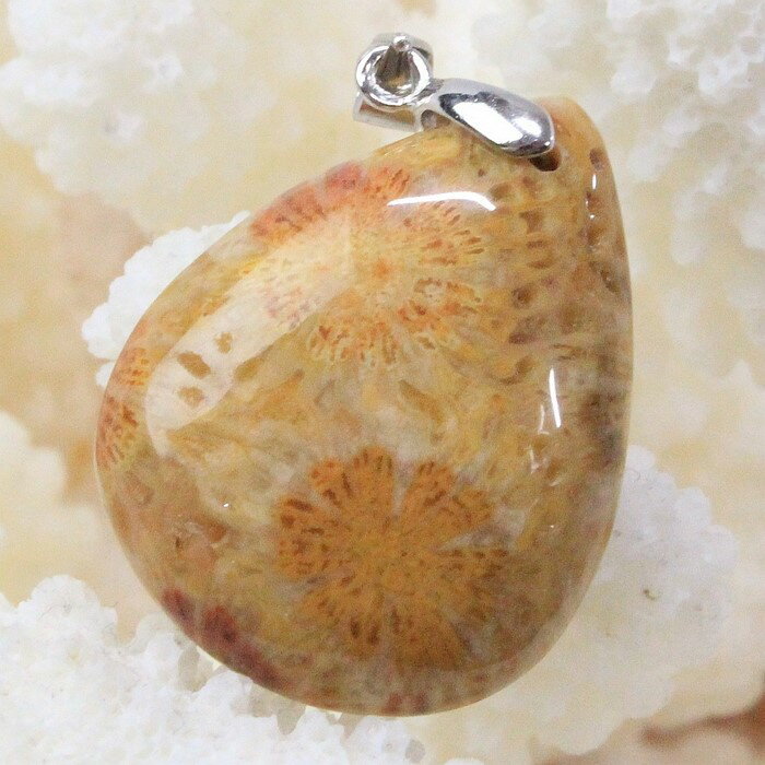 【限定 一点物】珊瑚 化石 ペンダント 化石 サンゴ 珊瑚 フォッシルコーラル フォシルコーラル ネックレス ペンダントトップ Pendant 珊瑚化石 ペンダ...