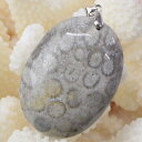 【天然石 ペンダントトップ 大粒】珊瑚 化石 ペンダント 化石 珊瑚 フォッシルコーラル フォシルコーラル サンゴ ネックレス ペンダントトップ ぺんだんと P...