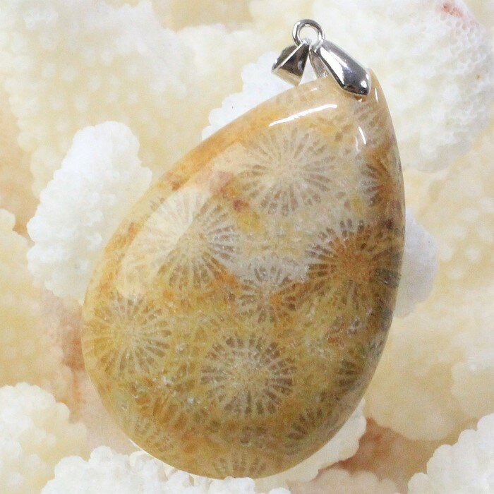 【天然石 ペンダントトップ 大粒】珊瑚 化石 ペンダント 化石 サンゴ コーラル フォシルコーラル 珊瑚 ペンダントトップ ネックレス Pendant 珊瑚化石...