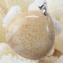 【天然石 ペンダントトップ 大粒】珊瑚 化石 ペンダント 化石 サンゴ 珊瑚 フォッシルコーラル フォシルコーラル ネックレス ペンダントトップ Pendant...