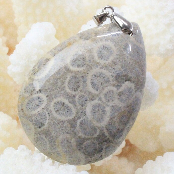 【レア 1点物】サンゴ 化石 ペンダント 化石 珊瑚 フォッシルコーラル フォシルコーラル サンゴ ペンダントトップ ネックレス ぺんだんと Pendant サンゴ化石 ペンダント メンズ レディース 一点物 パワーストーン サンゴ