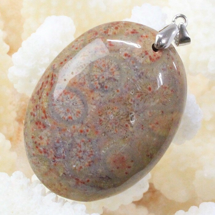 珊瑚 化石 ペンダント 化石 フォシルコーラル 珊瑚 サンゴ ペンダントトップ ネックレス Pendant 珊瑚化石 ペンダント パワーストーン ネックレス 天...
