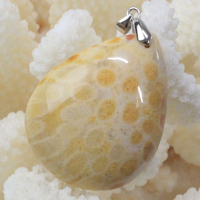 【天然石 ペンダントトップ 大粒】サンゴ 化石 ペンダント 化石 サンゴ 珊瑚 フォッシルコーラル フォシルコーラル ネックレス ペンダントトップ サンゴ化石 ペンダント メンズ レディース パワーストーン 人気 おすすめ 天然石 海外直輸入価格 サンゴ