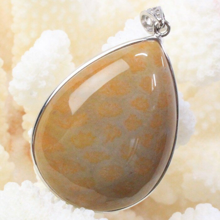 ڸʼ ʪۻ  ڥ  ե륳   ڥȥȥå ͥå쥹 Pendant 경 ڥ  ...