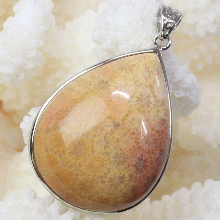 【厳選品質 一点物】サンゴ 化石 ペンダント 化石 サンゴ コーラル フォシルコーラル 珊瑚 ペンダントトップ ネックレス ぺんだんと Pendant サンゴ化石 ペンダント 天然石 ネックレス 人気 おすすめ パワーストーン 一点物 サンゴ