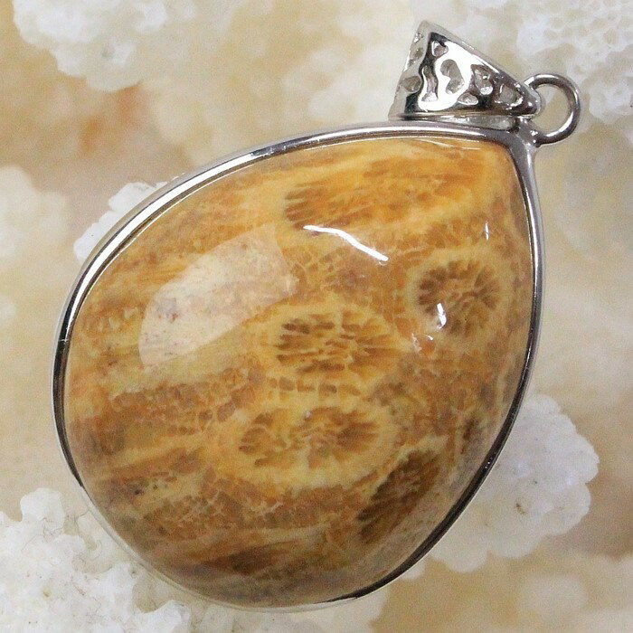 珊瑚 化石 ペンダント 化石 サンゴ コーラル フォシルコーラル 珊瑚 ネックレス ペンダントトップ Pendant 珊瑚化石 ペンダント 天然石 ネックレス ...