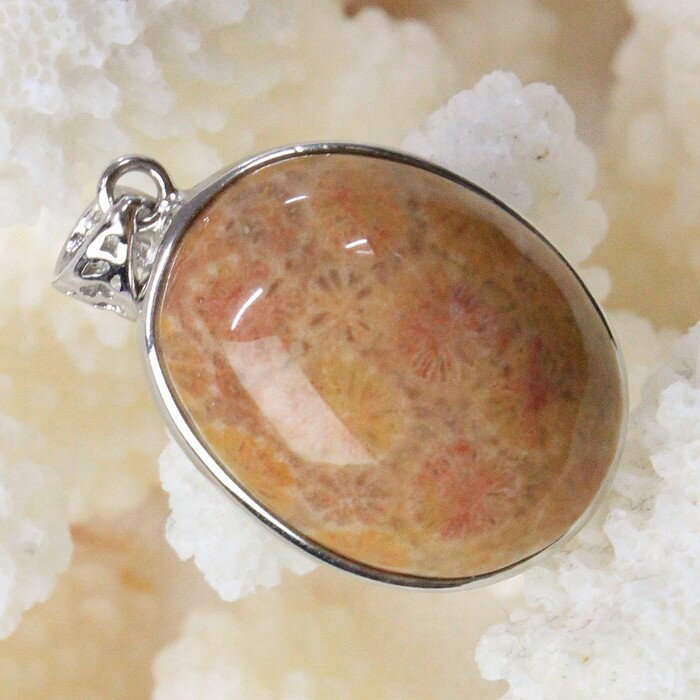 【一点物 現物】珊瑚 化石 ペンダント 化石 サンゴ 珊瑚 フォッシルコーラル フォシルコーラル ネックレス ペンダントトップ ぺんだんと Pendant 珊瑚...