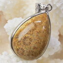 珊瑚 化石 ペンダント 化石 珊瑚 フォッシルコーラル フォシルコーラル サンゴ ペンダントトップ ネックレス Pendant 珊瑚化石 ペンダント パワースト...