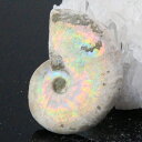 【マダガスカル産 厳選品質 一点物】アンモナイト 化石 にじ Ammonite アンモライト レインボー アンモナイト 原石 古生物 化石 鉱石 宝石 fossil 標本 アンモナイト化石 パワーストーン 原石 人気 おすすめ 天然石 海外直輸入価格 アンモナイト