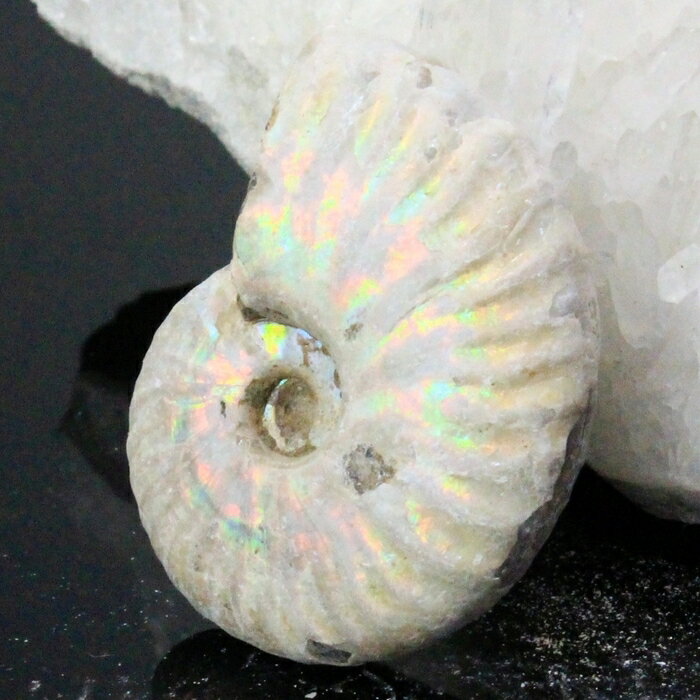 【マダガスカル産 厳選品質 一点物】アンモナイト 化石 にじ アンモライト レインボー アンモナイト 宝石 原石 アンモナイト化石 パワ..