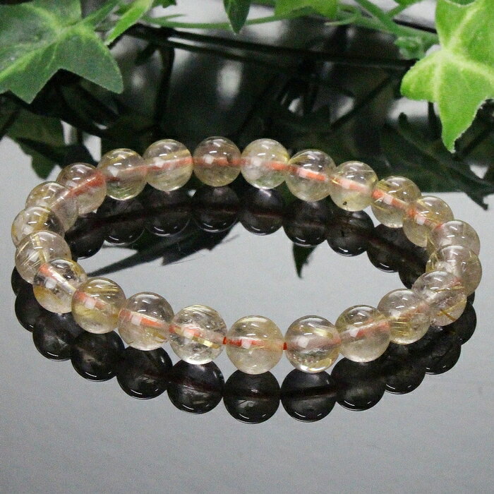 ʼ˼ ʪʪ 8mmۥ륯 ֥쥹å 鱿 Ɀ Ɀ 륯 ֥쥹å ֥쥹 Bracelet  륯...