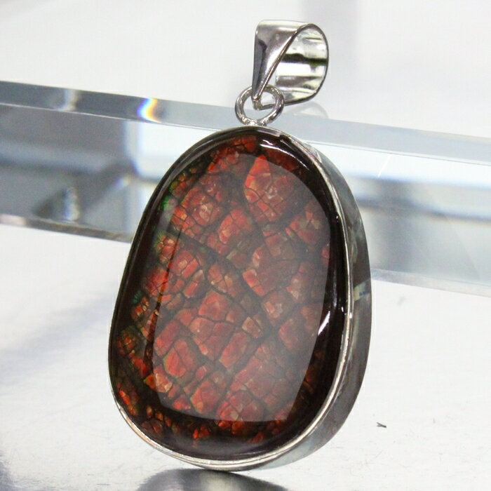 ںǹʼ ʪʪۥ饤 ͥå쥹 ʥ  饤 ͥå쥹 ڥȥȥå 饤ȥͥå쥹 ŷ ڥ...