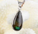 ACg y_gbammonite JZeB ACg ammolite A[|AN R[Cg lbNX Charm y_g lbNX Vo[ Pendant Silver NecklacebY fB[X p[Xg[ VR COAi ACg