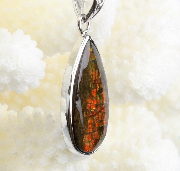 饤 ڥȡammolite ݥ 饤 ammonite 륻ƥ 饤 ͥå쥹 С ڥ ͥå쥹 Pendant  㡼 Silver Necklaceå ǥ ʪ ѥȡ 饤