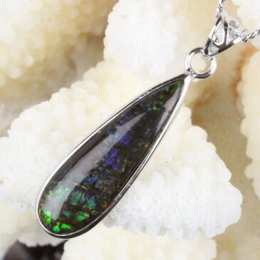 アンモライト ペンダント|コーライト ammonite ammolite アーポアク カルセンティン アンモライト ネックレス Pendant ネックレス シルバー ペンダント Silver Necklace|メンズ レディース 一点物アイテム アンモライト