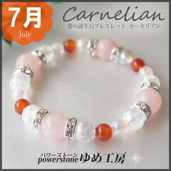 https://thumbnail.image.rakuten.co.jp/@0_mall/powerstone-yumekoubou/cabinet/05002230/imgrc0071955682.jpg