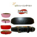 【訳あり品!!!】【初心者~プロ対応】POWERUP 本革製 ウエイト トレーニングベルト 女性 男性 ウエイトリフティングベルト ウエイトベルト 筋トレ リフ...