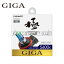 [BD1027N] GIGA / ֥롼ץ饹 5600K H8 35W