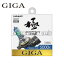 [BD529N] GIGA / ֥롼ץ饹 5000K HIR2