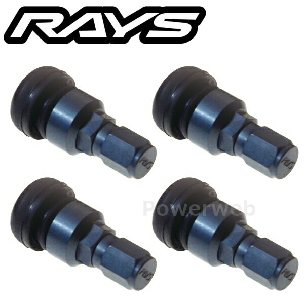 RAYS 6505000014000-4 No.45 HB1 AIR VALVE GS �����Х�� 4�ĥ��å� [�᡼����]