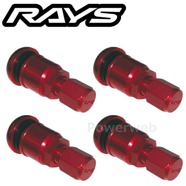 RAYS 6505000016000-4 No.47 HI-SPEED CONTROL VALVE RAYS RD エアバルブ 4個セット [メール便]