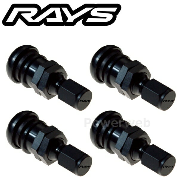 RAYS 65050000076BK-4 No.49 EUROPEAN ALUMINUM VALVE RAYS BK �����Х�� 4�ĥ��å� [�᡼����]
