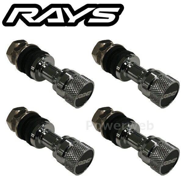 RAYS 6505000020000-4 No.62 INSIDE VALVE L40 RAYS LARGE CAP �����Х�� 4�ĥ��å� [�᡼����]