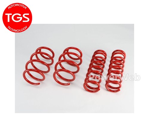 [526830-00] TGS/X-Fang アンチロール サスペンション±0 デリカD:5 3DA-CV1W (MC後専用設計)