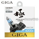 GIGA (ギガ) エアーネオ 4200K HB4/3 55W ハロゲンバルブ BD632N(2)