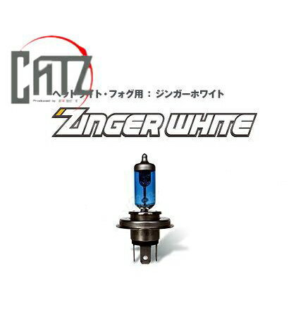 CATZ (㥺) ϥХ 󥬡ۥ磻 4800K H8 :CB414