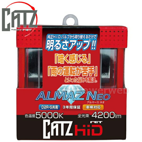 catz2500116.jpg
