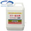 CRYSTAL PROCESS カラー復元剤 ブラック濃色車専用 2L F03200