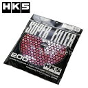 HKS 70001-AK032 スーパーパワーフロー用 Φ200交換用フィルター レッド 湿式2層タイプ Super Power Flow Filter [メー...