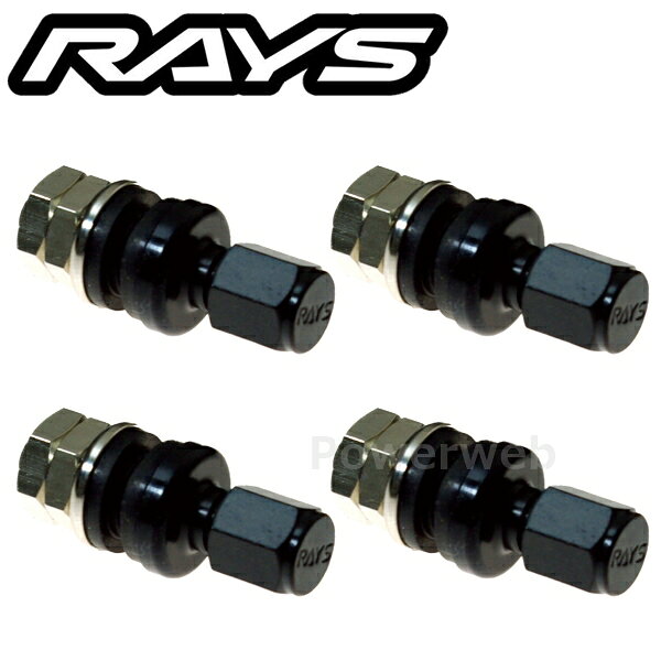 RAYS No.41 INSIDE AIR VALVE RAYS (OLD) BK �����Х�� 4�ĥ��å� 65050000001BK [�᡼����]