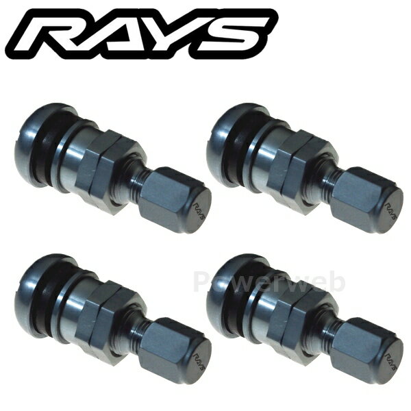 RAYS No.48 EUROPEAN ALUMINUM VALVE RAYS GS �����Х�� 4�ĥ��å� 65050000075GS [�᡼����]