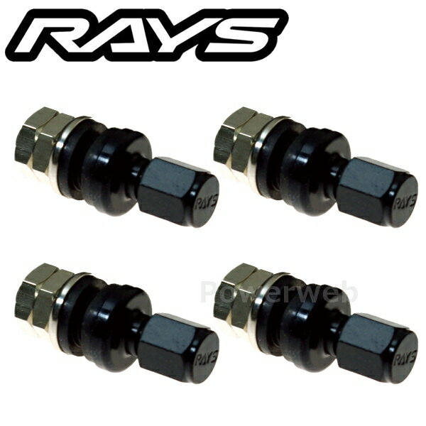 RAYS No.53 INSIDE AIR VALVE RAYS BK �����Х�� 4�ĥ��å� 65050000005BK [�᡼����]