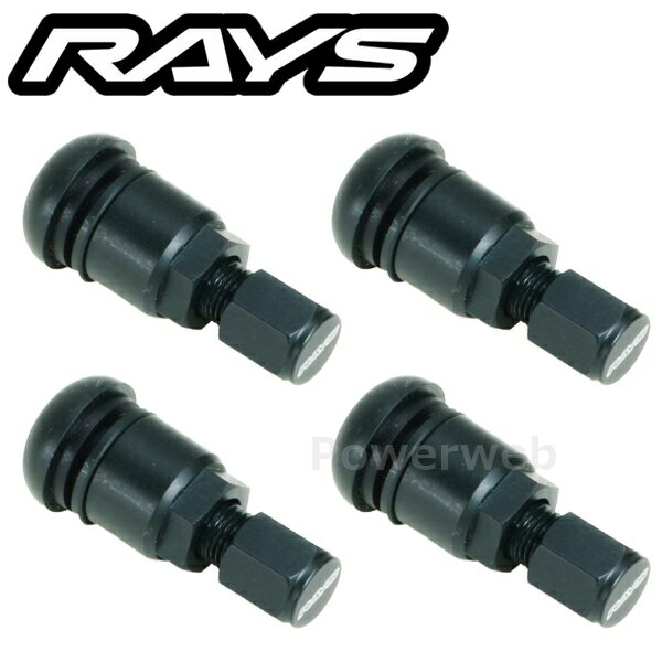 RAYS No.57 HI-SPEED CONTROL VALVE RAYS BK エアバルブ 4個セット 65050000160BK [メール便]