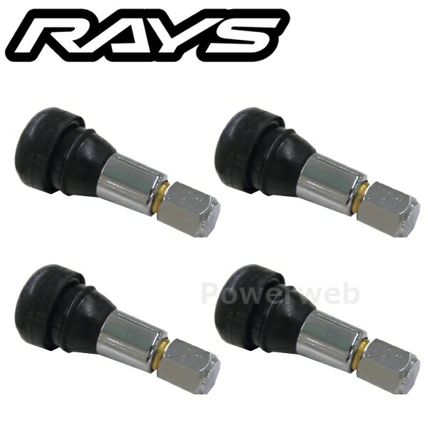 RAYS No.59 SNAP IN AIR VALVE 2 (TR13) �����Х�� 4�ĥ��å� 6505000002800 [�᡼����]