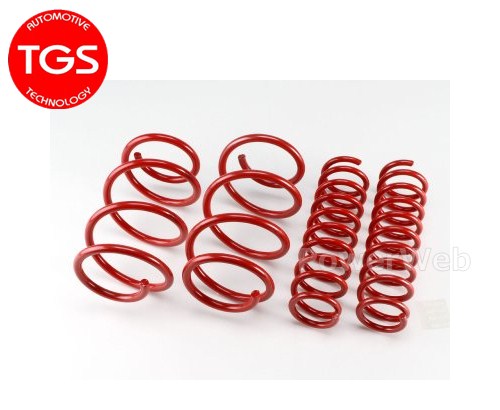 TGS/X-Fang [TGS-380340-00] リフトアップスプリング +30mm エクリプスクロス GK1W (4WDのみ)