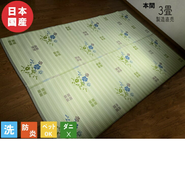 3帖用未満 - 上敷き PPラグ 国産 日本製 ラグ 防炎 国産 日本製 天城 い草風敷物 カーペット 保育園 幼稚園 洗える 3畳 約191cm×287cm 学校 ペット 子供部屋 災害備蓄用